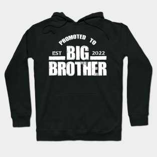 PROMOTED TO BIG BROTHER 2022 RETRO Hoodie